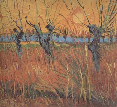 Vincent Van Gogh Willows at Sunset (nn04) oil painting picture
